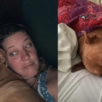 Érase una vez una pareja que despertó con un perro …