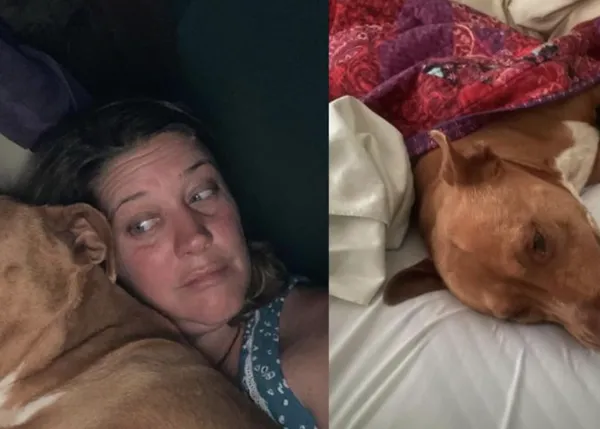 Érase una vez una pareja que despertó con un perro en la cama... un can ¡que no era suyo!