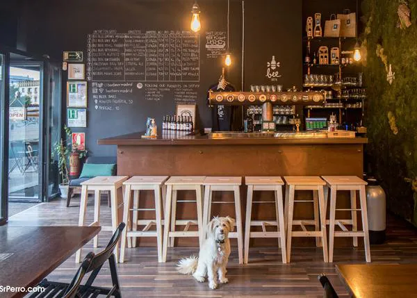 ¡De cañas con can! En estos estupendos bares y locales puedes probar cervezas artesanas junto a tu perro
