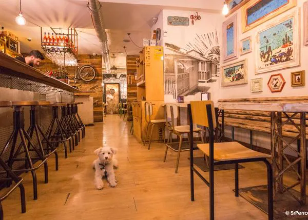 Pizza, pasta y Aperol Spritz: selección SrPerro de italianos caninamente simpáticos