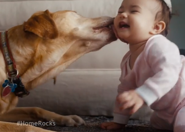El mejor amigo de tu hogar, tu perro: un fabuloso anuncio y una campaña solidaria genial