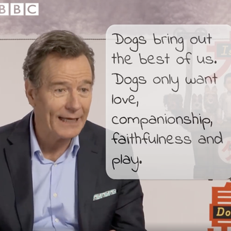 Bryan Cranston y los perros y el gran mensaje de …