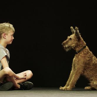 Los secretos de una amistad inquebrantable: un documental sobre el …
