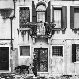 Los perros acompañan a los humanos desde mucho antes de …