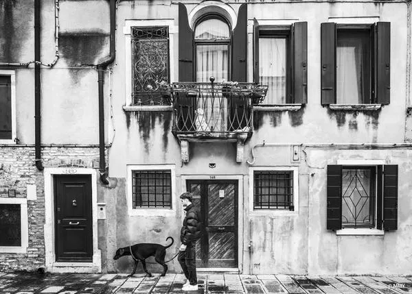 Los perros acompañan a los humanos desde mucho antes de lo que se pensaba: desde hace 15.000 años