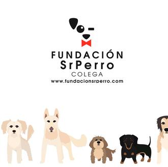 ¡¡Gran noticia perruna!! Nace Fundación SrPerro Colega, para fomentar adopciones …