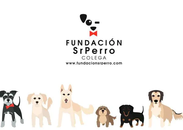 ¡¡Gran noticia perruna!! Nace Fundación SrPerro Colega, para fomentar adopciones y evitar abandonos a través de la educación