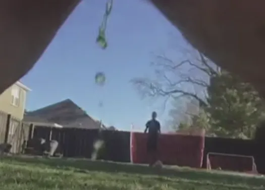Un perro con puntería demasiado certera: un vídeo genera sonrisas