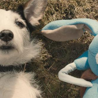 Harvey, un SrPerro talentoso para demostrar el poder de la …