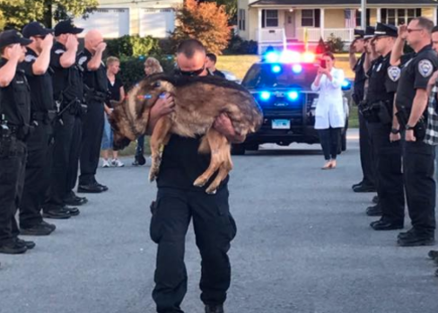 #EstamosJuntosenEsto: dos emotivas imágenes que muestran el fuerte vínculo entre un policía y su perro 