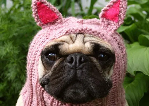 Gorros para Carlinos y otras curiosidades perrunas en Etsy