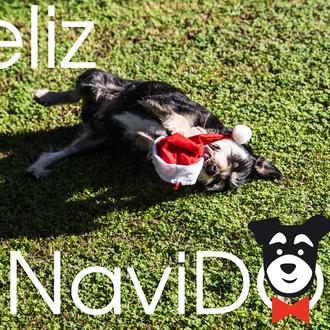 Navidad versión SrPerro: Muy Feliz NaviDOG a todos, ¡guau!