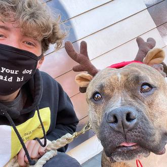 Humor, ternura y solidaridad, o cómo We Rate Dogs ha …