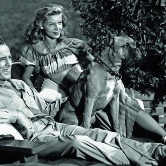 Hollywood Dogs: icónicas fotografías de las estrellas del cine con …