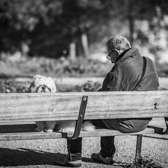 El impacto de la crisis sobre perros y gatos: menos …
