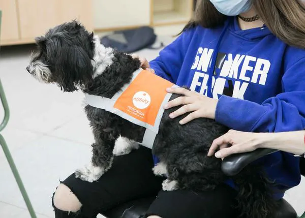Perros de terapia para mejorar el vínculo y las relaciones entre menores tutelados y sus familias