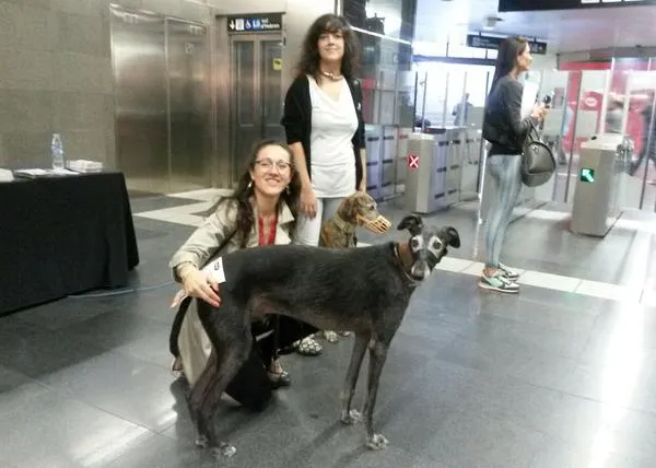 Perros en el metro de Barcelona: Vadim y sus amigos ¡hacen historia!