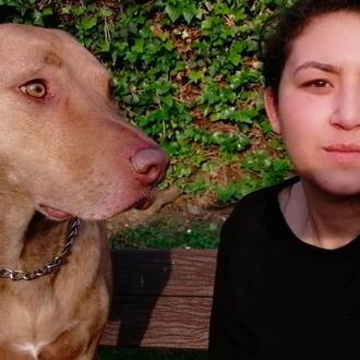 Tuco, el primer perro cuyo destino se juzga teniendo en …