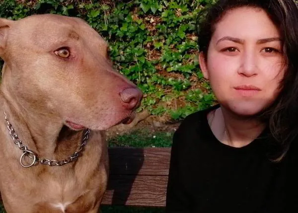 Tuco, el primer perro cuyo destino se juzga teniendo en cuenta la reforma del Código Civil