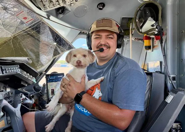 Más de 82.000 perros y gatos a salvo gracias a los vuelos solidarios de Wings of Rescue