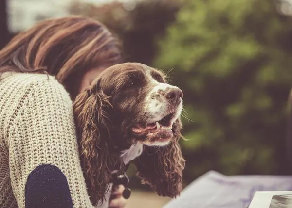 La relación entre una persona y su perro es similar a la que se establece en una pareja humana