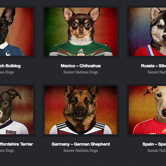 Ingeniosas fotografías de perros futbolistas, desde el chihuahua mexicano al …