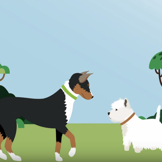 Las cinco libertades o necesidades del bienestar animal: el manual …