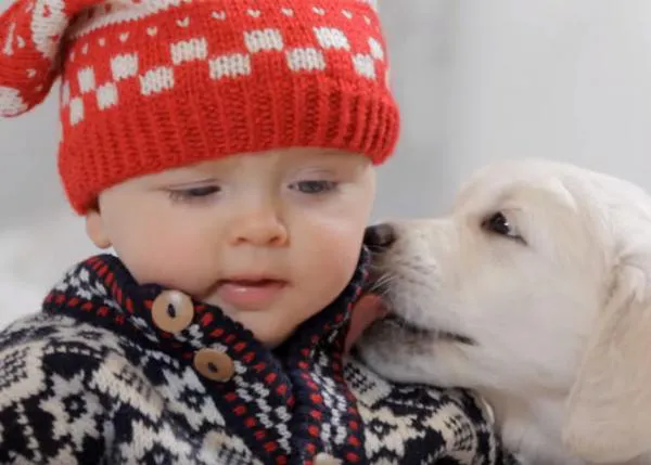 Una felicitación navideña llena de besos: cachorrotes, bebés y gatitos en acción