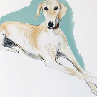 La fabulosa artista canina, Sally Muir, dedica su nuevo libro …
