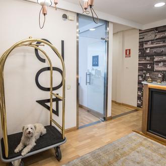 Fomentando el turismo con perro en Madrid junto a la …