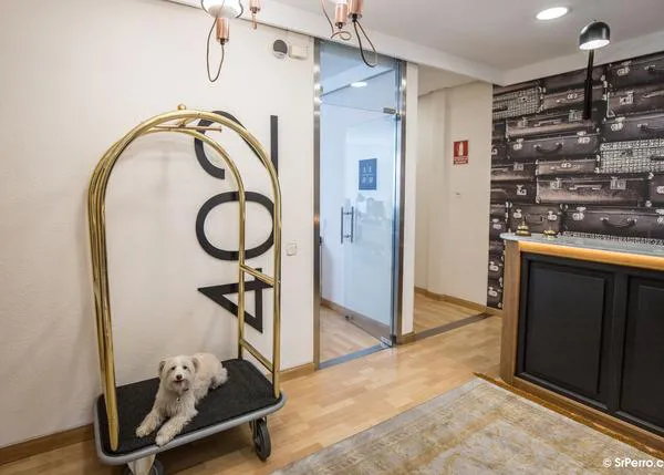 Fomentando el turismo con perro en Madrid junto a la Asociación Empresarial Hotelera de Madrid