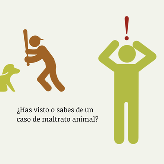 Yo Denuncio: una herramienta para alertar y denunciar cualquier caso …