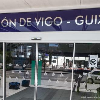 La complicada tarea de viajar con perro: la estación de …