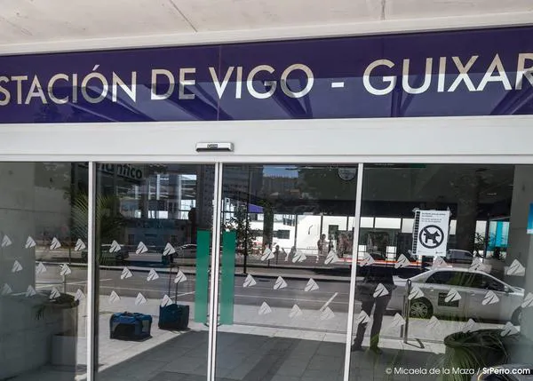 La complicada tarea de viajar con perro: la estación de Vigo