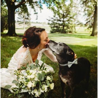 El invitado más importante en su boda: su perro y …