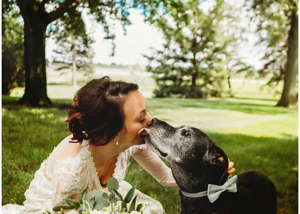 El invitado más importante en su boda: su perro y mejor amigo, enfermo terminal de cáncer