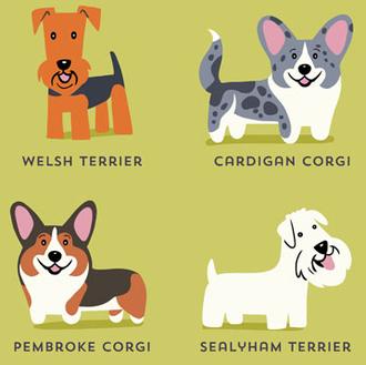 Vuelta al mundo a través de las razas caninas: las …