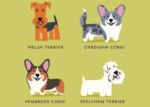 Vuelta al mundo a través de las razas caninas: las fabulosas ilustraciones perrunas de Lili Chin