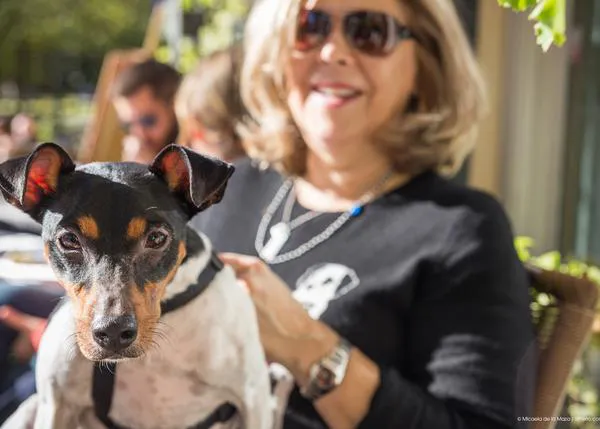 ¿De tapas con perro en Málaga? Sí, siempre que el dueño del local esté de acuerdo