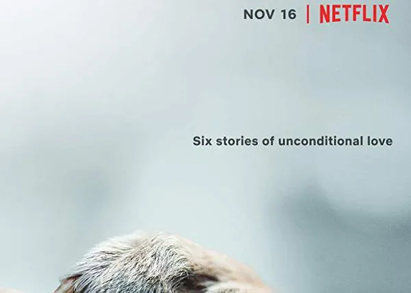 Netflix estrena 'Amigos Caninos', un documental sobre el inquebrantable vínculo entre humanos y perros