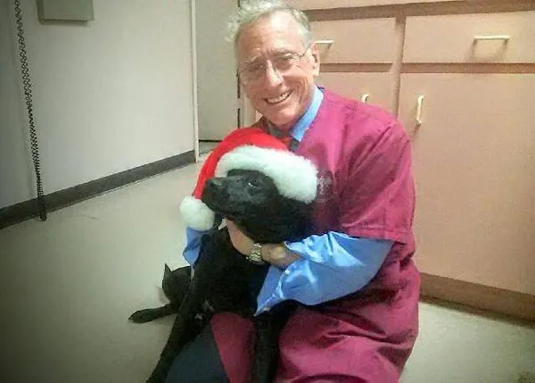 La historia del perro que mordió a un niño y 