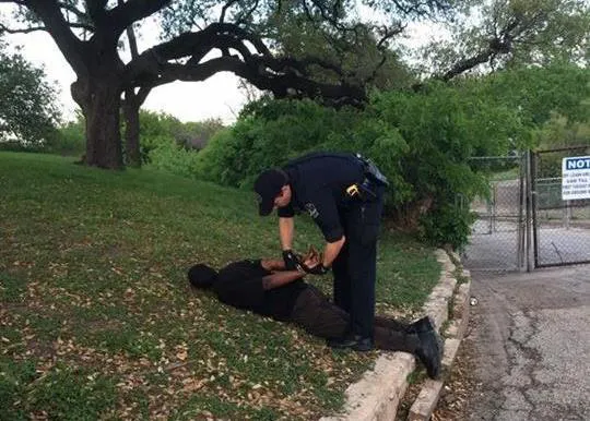 Varias personas evitan que un hombre robe un perro en un parque de Texas