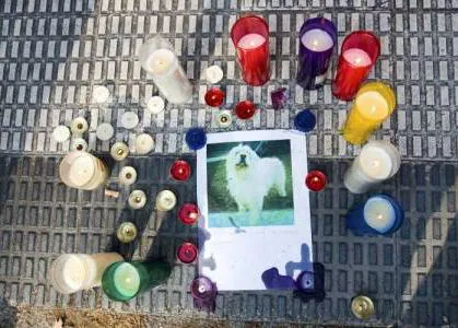 La policía de Zaragoza investiga la muerte de Lucky e insiste, 