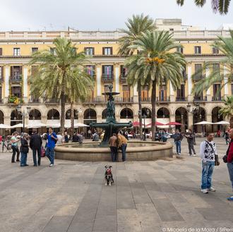 Perros en el metro de Barcelona: con bozal, con horarios …