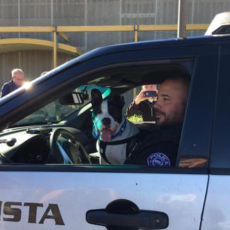 Un perro policía ayuda a fomentar las adopciones de sus …