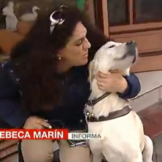 Una mujer invidente recibe golpes por entrar en una tienda …