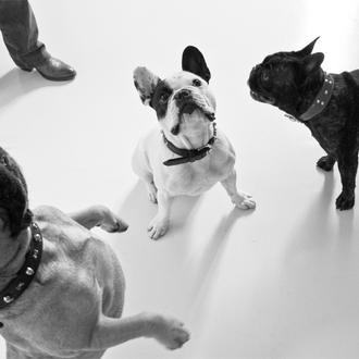 SrPerro en la calle con Irina, Vladimir y Nicolás