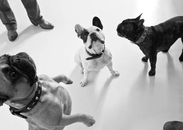 SrPerro en la calle con Irina, Vladimir y Nicolás