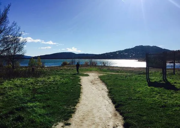 Una perra ha muerto envenenada en el Embalse de Navacerrada, y no es la primera vez