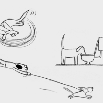 15 Trabajos que debes desempeñar cuando eres perro: el CV …